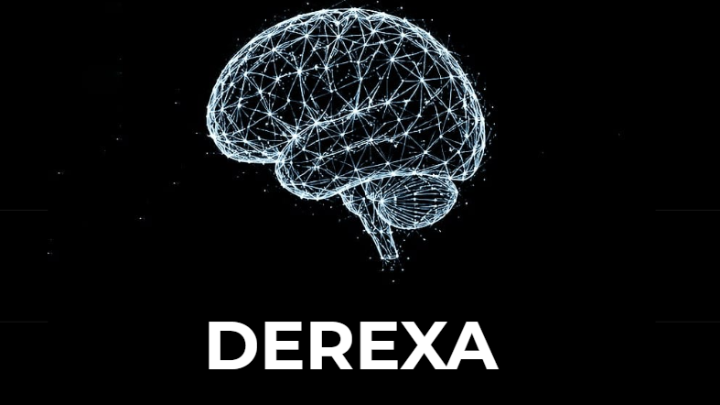 DEREXA AI TECHNOLOGIES PRIVATE LIMITED logo
