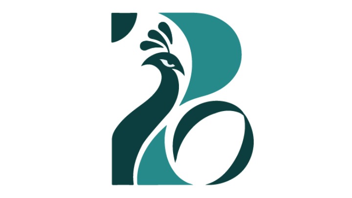 BLUPEPPER PRIVATE LIMITED logo