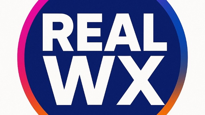 REALWX PRIVATE LIMITED logo