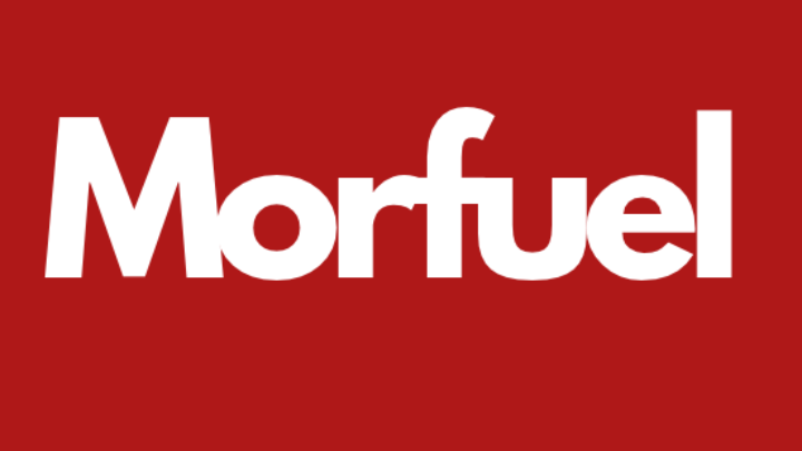 MORFUEL INDIA PRIVATE LIMITED logo