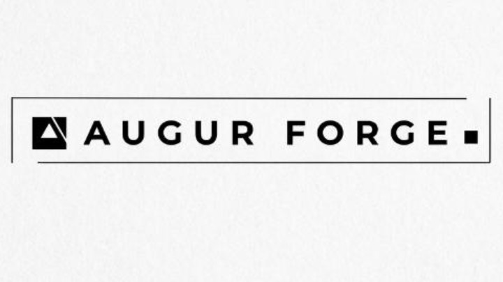 AUGUR FORGE PRIVATE LIMITED logo